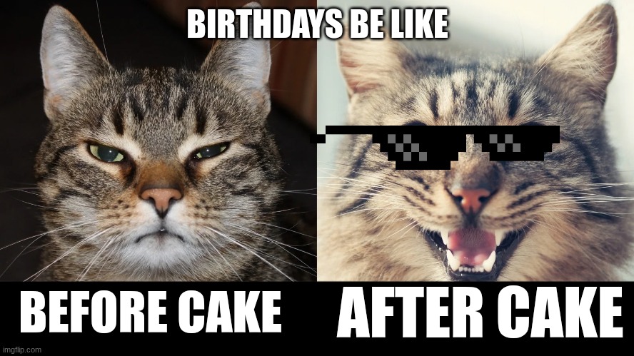 Birthdays | BIRTHDAYS BE LIKE; BEFORE CAKE; AFTER CAKE | image tagged in facts | made w/ Imgflip meme maker