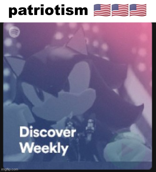 patriotism 🇺🇸🇺🇸🇺🇸 | made w/ Imgflip meme maker