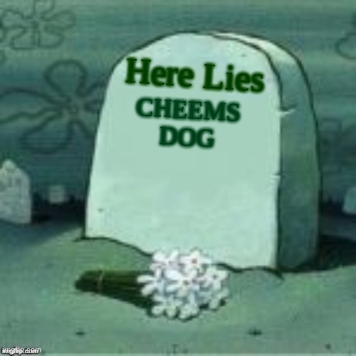 May he rest in peace. | Here Lies; CHEEMS DOG | image tagged in here lies x | made w/ Imgflip meme maker