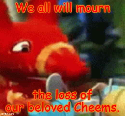 Afraid Pretztail | We all will mourn; the loss of our beloved Cheems. | image tagged in afraid pretztail | made w/ Imgflip meme maker