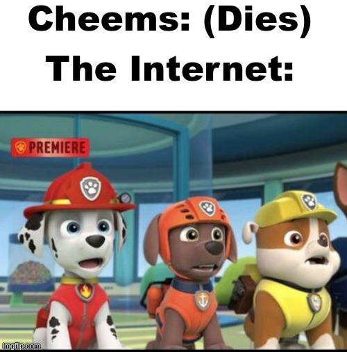 A tragic loss indeed. | Cheems: (Dies); The Internet: | image tagged in blank white template,shocked marshall zuma and rubble | made w/ Imgflip meme maker
