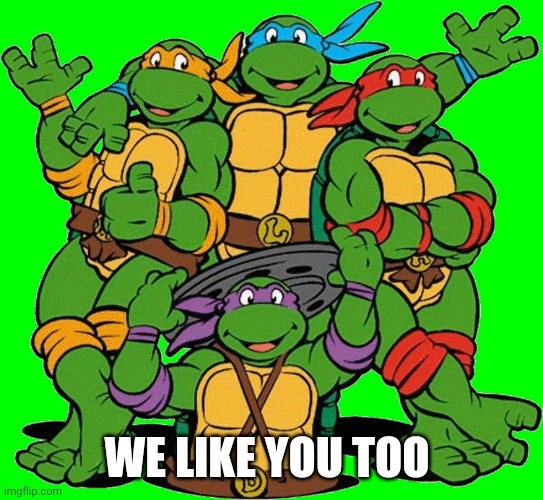 Ninja Turtles | WE LIKE YOU TOO | image tagged in ninja turtles | made w/ Imgflip meme maker