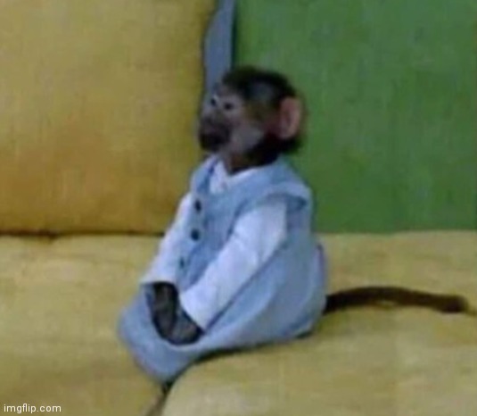 Money in pyjamas :) | image tagged in monkey in pyjamas | made w/ Imgflip meme maker