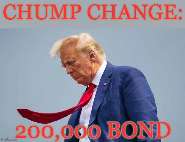 For the Chump in Grief | CHUMP CHANGE:; 200,000 BOND | image tagged in sad trump with tie tongue | made w/ Imgflip meme maker