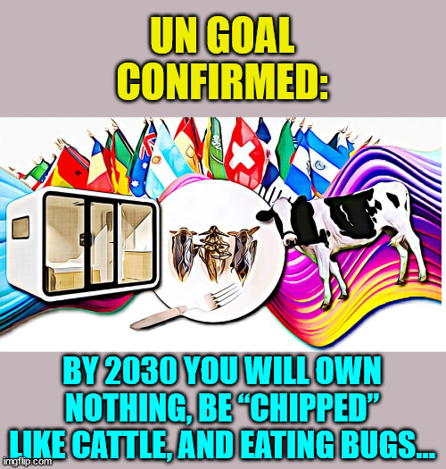 You will own nothing... and be happy... | UN GOAL CONFIRMED:; BY 2030 YOU WILL OWN NOTHING, BE “CHIPPED” LIKE CATTLE, AND EATING BUGS… | image tagged in nwo,nwo police state | made w/ Imgflip meme maker