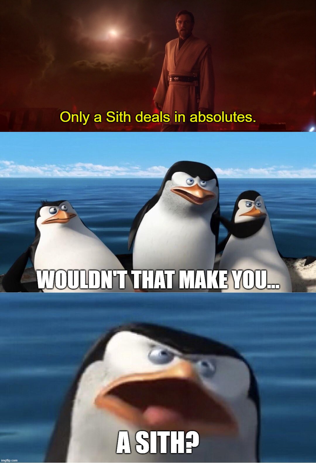 Only a Sith deals in absolutes. | image tagged in only a sith deals in absolutes,wouldn't that make you | made w/ Imgflip meme maker