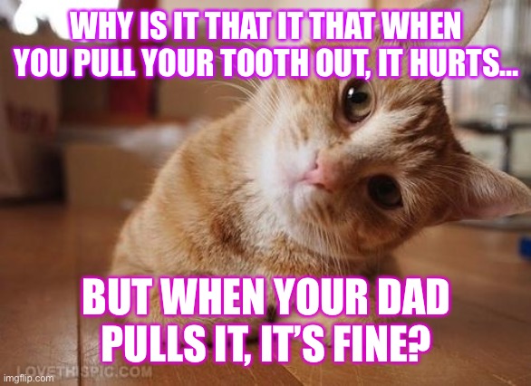 Anyone else? | WHY IS IT THAT IT THAT WHEN YOU PULL YOUR TOOTH OUT, IT HURTS…; BUT WHEN YOUR DAD PULLS IT, IT’S FINE? | image tagged in curious question cat | made w/ Imgflip meme maker