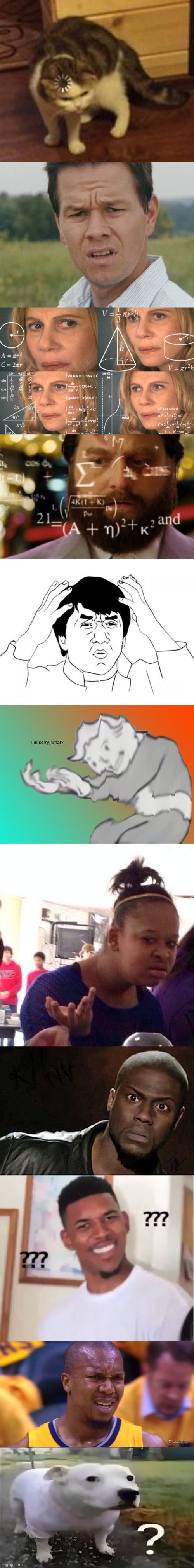 image tagged in loading cat,huh,confused math lady,trying to calculate how much sleep i can get,memes,jackie chan wtf | made w/ Imgflip meme maker