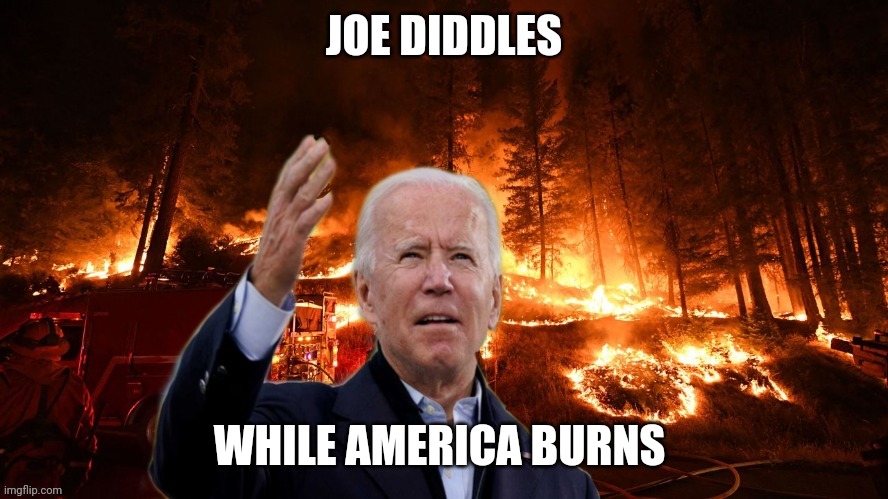 Joe biden | JOE DIDDLES; WHILE AMERICA BURNS | image tagged in joe biden | made w/ Imgflip meme maker