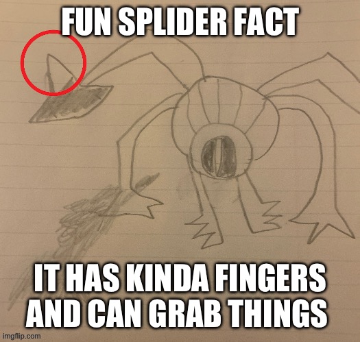 That’s what’s circled | FUN SPLIDER FACT; IT HAS KINDA FINGERS AND CAN GRAB THINGS | made w/ Imgflip meme maker
