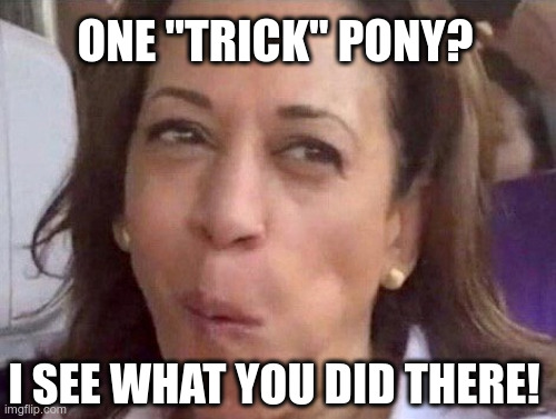 ONE "TRICK" PONY? I SEE WHAT YOU DID THERE! | made w/ Imgflip meme maker