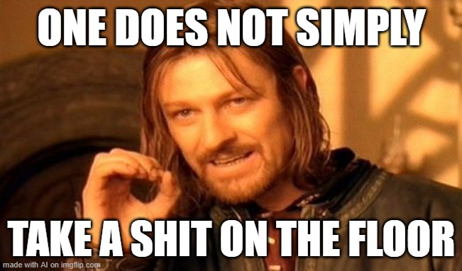 Use the gotdang toilet | ONE DOES NOT SIMPLY; TAKE A SHIT ON THE FLOOR | image tagged in memes,one does not simply | made w/ Imgflip meme maker