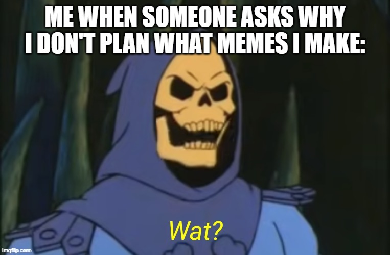 I don't plan, okay?? | ME WHEN SOMEONE ASKS WHY I DON'T PLAN WHAT MEMES I MAKE: | image tagged in skeletor wat | made w/ Imgflip meme maker