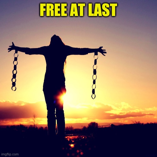 Freedom Liberdade | FREE AT LAST | image tagged in freedom liberdade | made w/ Imgflip meme maker