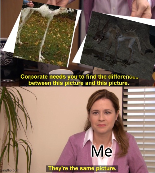 They're The Same Picture Meme | Me | image tagged in memes,they're the same picture | made w/ Imgflip meme maker