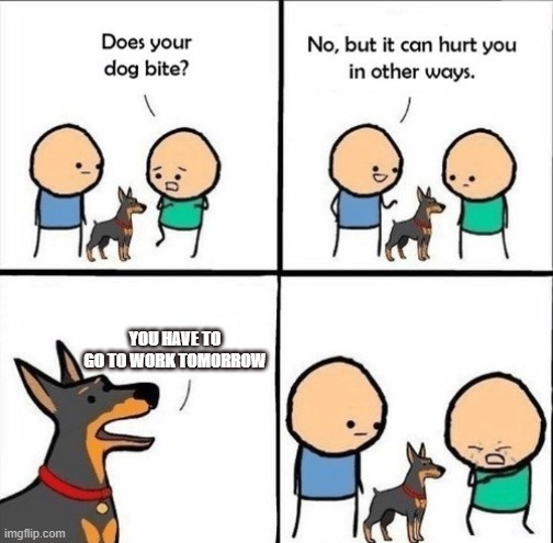 does your dog bite | YOU HAVE TO GO TO WORK TOMORROW | image tagged in does your dog bite | made w/ Imgflip meme maker