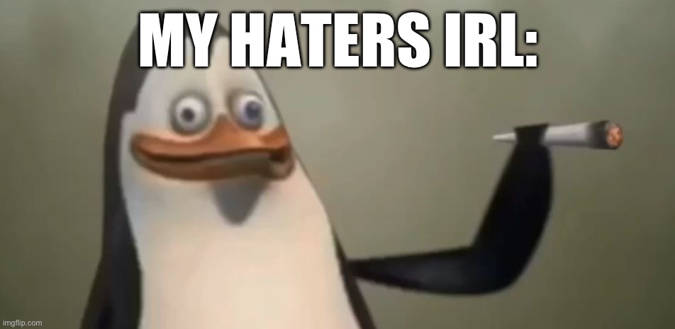 Kowalski | MY HATERS IRL: | image tagged in kowalski | made w/ Imgflip meme maker