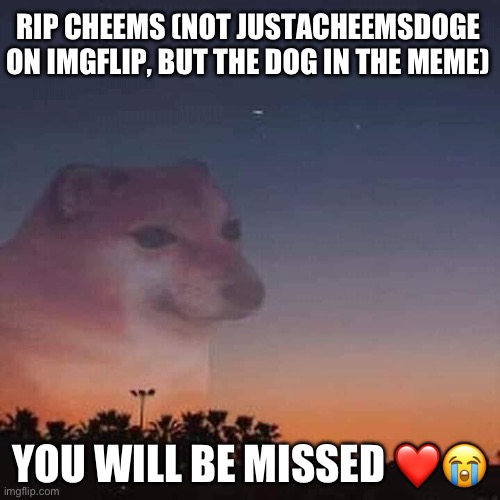 A legend is gone :( | RIP CHEEMS (NOT JUSTACHEEMSDOGE ON IMGFLIP, BUT THE DOG IN THE MEME); YOU WILL BE MISSED ❤️😭 | image tagged in cheems,memes,sad,bad news | made w/ Imgflip meme maker