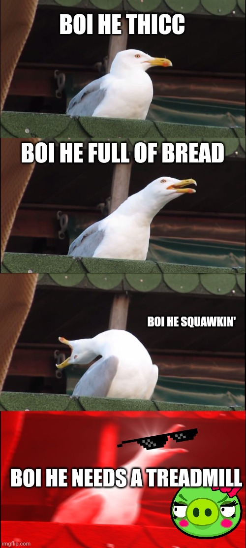 Inhaling Seagull Meme | BOI HE THICC; BOI HE FULL OF BREAD; BOI HE SQUAWKIN'; BOI HE NEEDS A TREADMILL | image tagged in memes,inhaling seagull | made w/ Imgflip meme maker