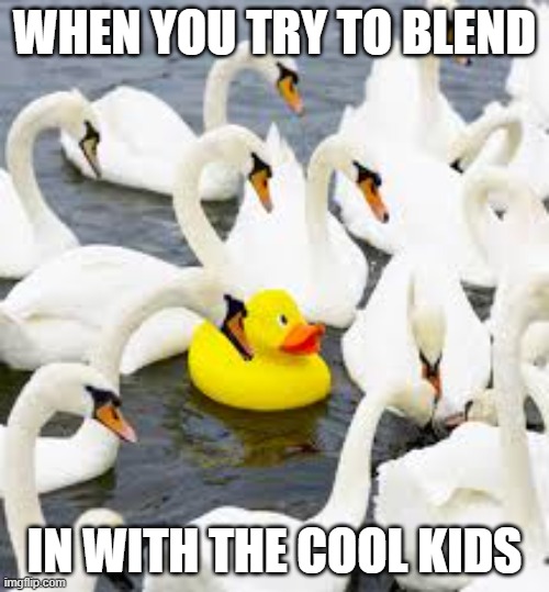 one impostor among us | WHEN YOU TRY TO BLEND; IN WITH THE COOL KIDS | image tagged in one impostor among us | made w/ Imgflip meme maker