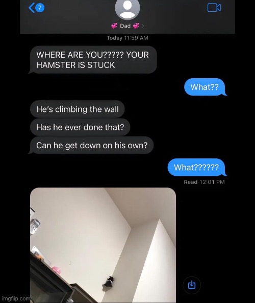 … | made w/ Imgflip meme maker