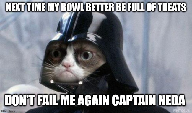 Grumpy Cat Star Wars | NEXT TIME MY BOWL BETTER BE FULL OF TREATS; DON'T FAIL ME AGAIN CAPTAIN NEDA | image tagged in memes,grumpy cat star wars,grumpy cat | made w/ Imgflip meme maker