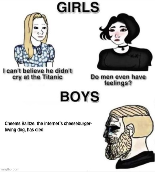 Cheems | image tagged in do men even have feelings,cheems,cheems balltze,dog,memes,rip | made w/ Imgflip meme maker