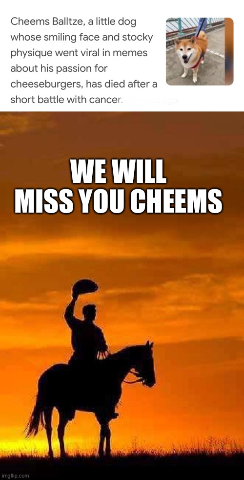 WE WILL MISS YOU CHEEMS | image tagged in cowboy goodbye sunset | made w/ Imgflip meme maker
