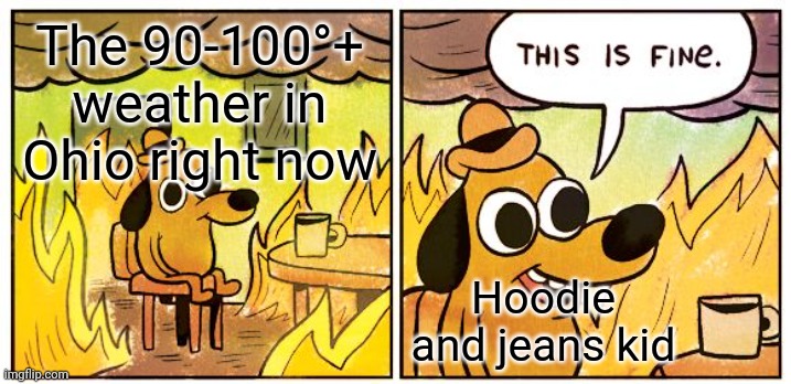 It's so hot over here we might have some school cancelled and it's the first week | The 90-100°+ weather in Ohio right now; Hoodie and jeans kid | image tagged in memes,this is fine,school,heat,hoodie,jeans | made w/ Imgflip meme maker