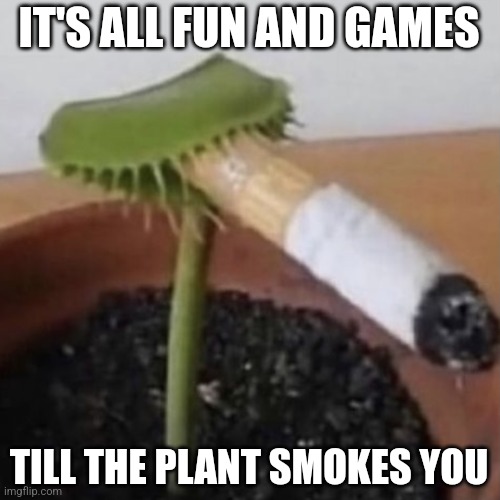 Plant smoking a cigarette | IT'S ALL FUN AND GAMES; TILL THE PLANT SMOKES YOU | image tagged in plant smoking a cigarette,memes,venus,fly,trap | made w/ Imgflip meme maker