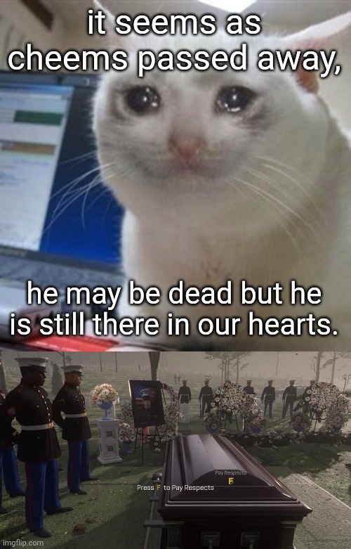 my note: F | it seems as cheems passed away, he may be dead but he is still there in our hearts. | image tagged in crying cat,press f to pay respects | made w/ Imgflip meme maker