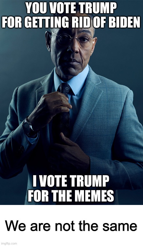 I’m kidding btw, I don’t even live in America :I | YOU VOTE TRUMP FOR GETTING RID OF BIDEN; I VOTE TRUMP FOR THE MEMES; We are not the same | image tagged in gus fring we are not the same | made w/ Imgflip meme maker