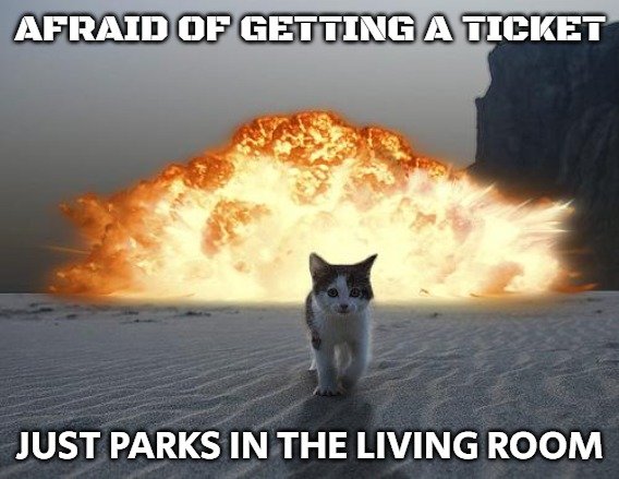 cat explosion | AFRAID OF GETTING A TICKET; JUST PARKS IN THE LIVING ROOM | image tagged in cat explosion,slavic | made w/ Imgflip meme maker