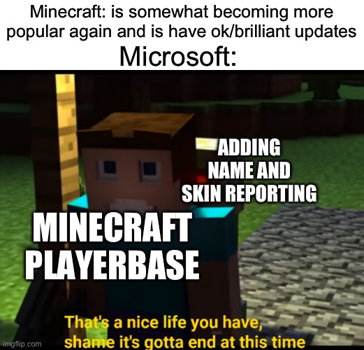 One day this great game will be ashes :( | Minecraft: is somewhat becoming more popular again and is have ok/brilliant updates; Microsoft:; ADDING NAME AND SKIN REPORTING; MINECRAFT PLAYERBASE | image tagged in that's a nice life you have,minecraft | made w/ Imgflip meme maker