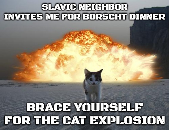 cat explosion | SLAVIC NEIGHBOR INVITES ME FOR BORSCHT DINNER; BRACE YOURSELF FOR THE CAT EXPLOSION | image tagged in cat explosion,slavic | made w/ Imgflip meme maker