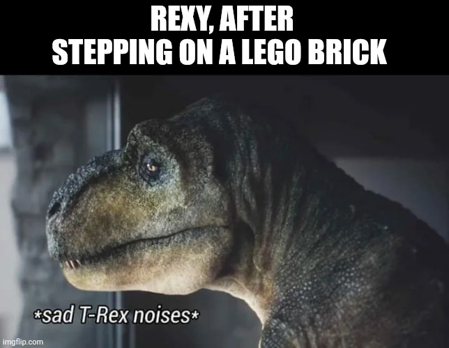If rexy stepped on a Lego brick | REXY, AFTER STEPPING ON A LEGO BRICK | image tagged in sad-trex,jurassic park,jurassicparkfan102504,jpfan102504 | made w/ Imgflip meme maker