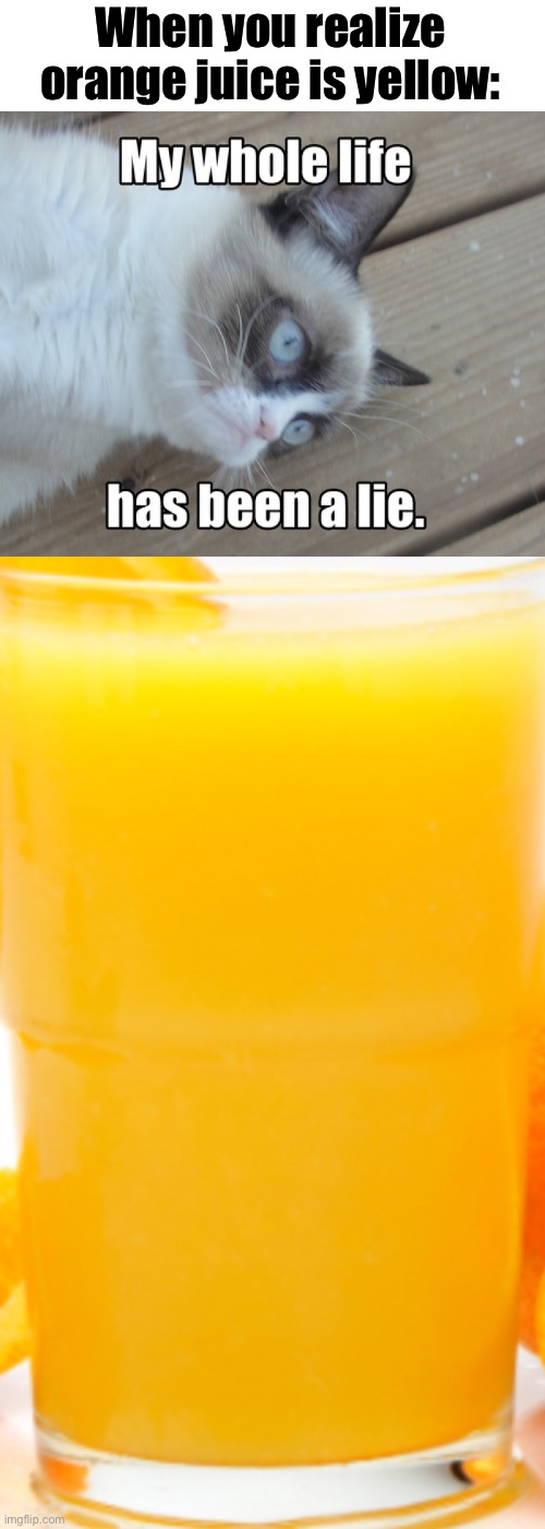 Weird to think about… | When you realize orange juice is yellow: | image tagged in my whole life has been a lie,orange juice by blue_official | made w/ Imgflip meme maker