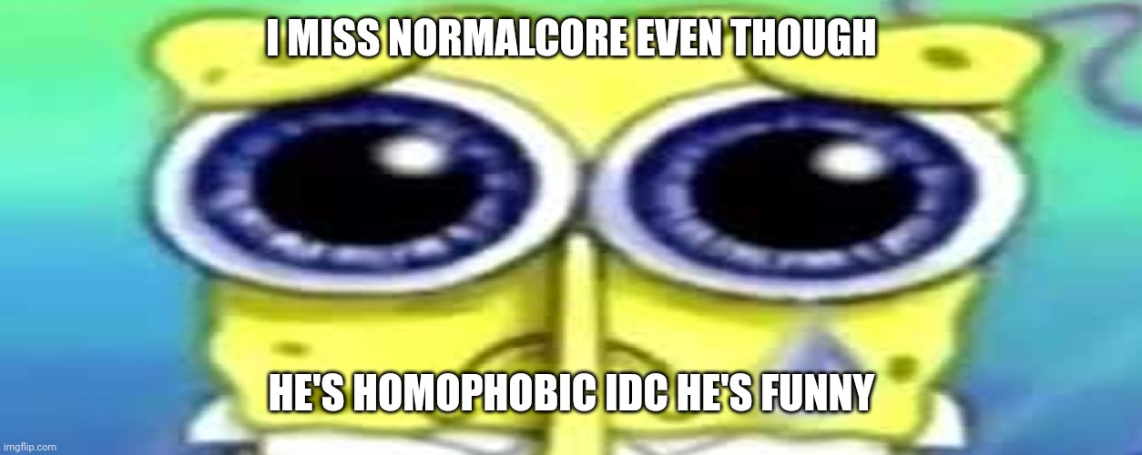 Come back | I MISS NORMALCORE EVEN THOUGH; HE'S HOMOPHOBIC IDC HE'S FUNNY | image tagged in sad spong | made w/ Imgflip meme maker