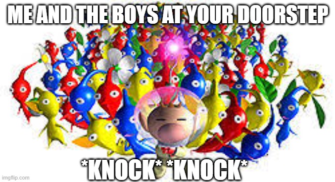 Pikmins | ME AND THE BOYS AT YOUR DOORSTEP; *KNOCK* *KNOCK* | image tagged in pikmins | made w/ Imgflip meme maker