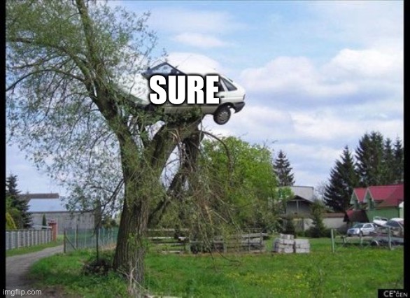 Secure Parking Meme | SURE | image tagged in memes,secure parking | made w/ Imgflip meme maker