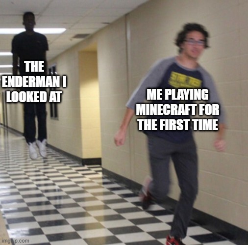 any Minecraft veteran would relate | THE ENDERMAN I LOOKED AT; ME PLAYING MINECRAFT FOR THE FIRST TIME | image tagged in running away in hallway | made w/ Imgflip meme maker