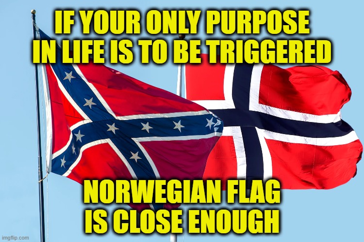 Norwegian Rebel Yell | IF YOUR ONLY PURPOSE IN LIFE IS TO BE TRIGGERED; NORWEGIAN FLAG
IS CLOSE ENOUGH | image tagged in fake history | made w/ Imgflip meme maker