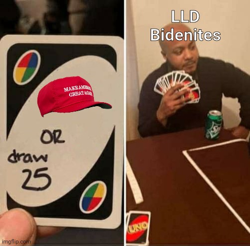 UNO Draw 25 Cards Meme | LLD Bidenites | image tagged in memes,uno draw 25 cards | made w/ Imgflip meme maker