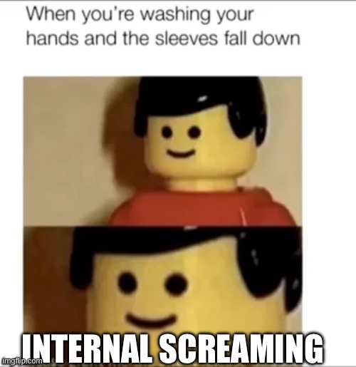 INTERNAL SCREAMING | image tagged in relatable | made w/ Imgflip meme maker