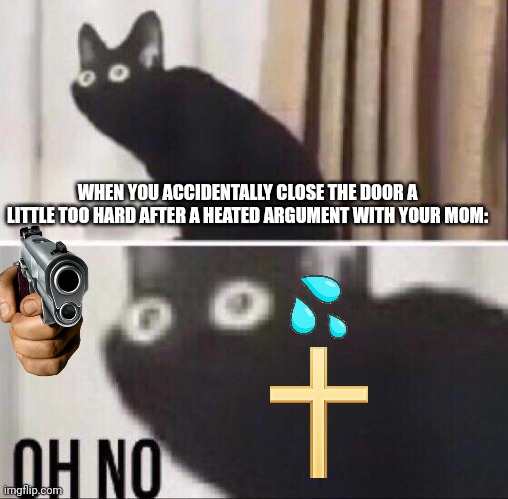 *insert crying child noises* | WHEN YOU ACCIDENTALLY CLOSE THE DOOR A LITTLE TOO HARD AFTER A HEATED ARGUMENT WITH YOUR MOM: | image tagged in oh no cat,cat,funny | made w/ Imgflip meme maker