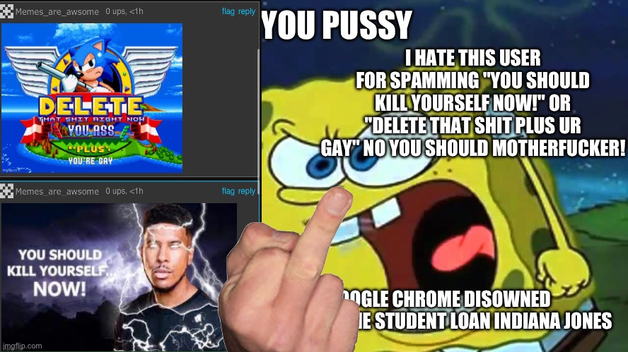 FR | I HATE THIS USER FOR SPAMMING "YOU SHOULD KILL YOURSELF NOW!" OR "DELETE THAT SHIT PLUS UR GAY" NO YOU SHOULD MOTHERFUCKER! | made w/ Imgflip meme maker