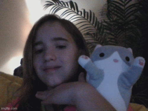 me and my stuffed cat! (im allergic to cats) :( :( | image tagged in meli_opal,straykidsstay | made w/ Imgflip images-to-gif maker