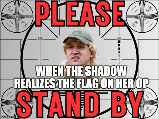 Please stand by | WHEN THE SHADOW REALIZES THE FLAG ON HER OP | image tagged in guns | made w/ Imgflip meme maker