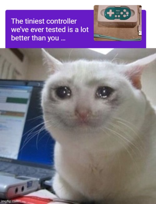 search engine preview gone wrong | image tagged in crying cat,emotional damage | made w/ Imgflip meme maker