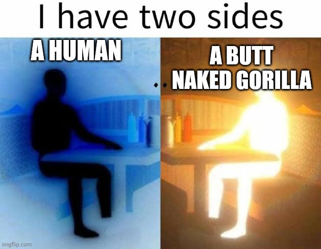 I have two sides | A HUMAN A BUTT NAKED GORILLA | image tagged in i have two sides | made w/ Imgflip meme maker